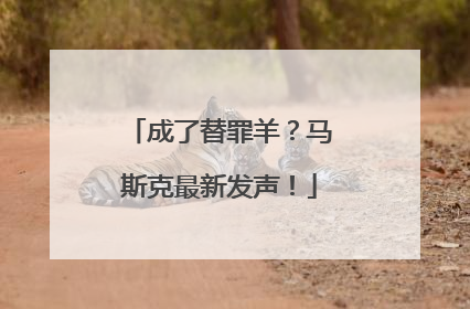 成了替罪羊？马斯克最新发声！