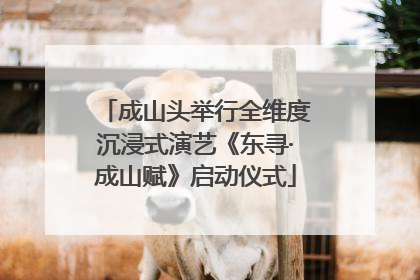成山头举行全维度沉浸式演艺《东寻·成山赋》启动仪式