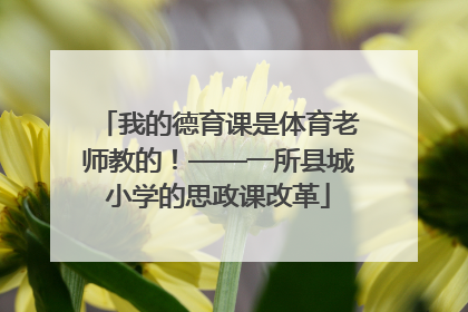 我的德育课是体育老师教的！——一所县城小学的思政课改革