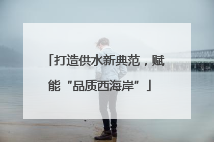 打造供水新典范，赋能“品质西海岸”
