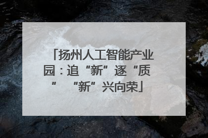 扬州人工智能产业园：追“新”逐“质” “新”兴向荣