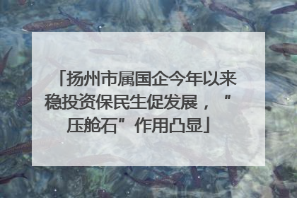 扬州市属国企今年以来稳投资保民生促发展，“压舱石”作用凸显