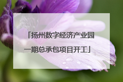 扬州数字经济产业园一期总承包项目开工