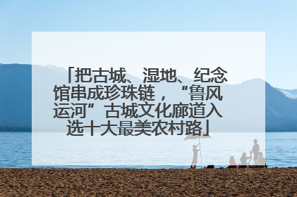 把古城、湿地、纪念馆串成珍珠链，“鲁风运河”古城文化廊道入选十大最美农村路
