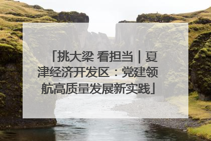 挑大梁 看担当｜夏津经济开发区：党建领航高质量发展新实践