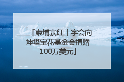 柬埔寨红十字会向坤塔宝花基金会捐赠100万美元