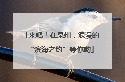 来吧！在泉州，浪漫的“滨海之约”等你哟