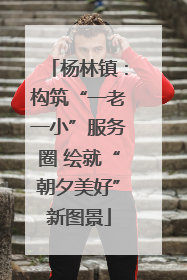 杨林镇：构筑“一老一小”服务圈 绘就“朝夕美好”新图景