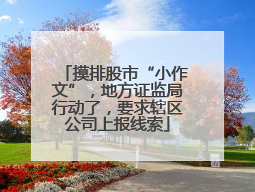 摸排股市“小作文”，地方证监局行动了，要求辖区公司上报线索