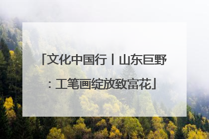 文化中国行丨山东巨野：工笔画绽放致富花