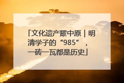 文化遗产耀中原｜明清学子的“985”，一砖一瓦都是历史