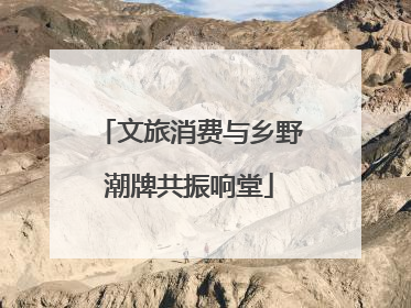 文旅消费与乡野潮牌共振响堂