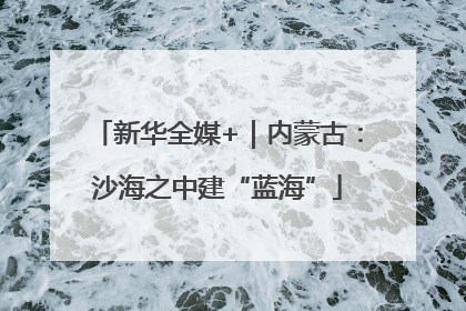 新华全媒+｜内蒙古：沙海之中建“蓝海”