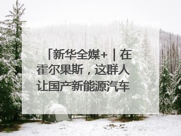 新华全媒+｜在霍尔果斯，这群人让国产新能源汽车“跑”向中亚