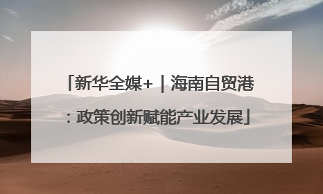 新华全媒+｜海南自贸港：政策创新赋能产业发展