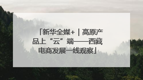 新华全媒+｜高原产品上“云”端——西藏电商发展一线观察