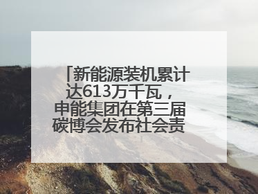 新能源装机累计达613万千瓦，申能集团在第三届碳博会发布社会责任报告