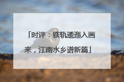 时评：铁轨逶迤入画来，江南水乡谱新篇