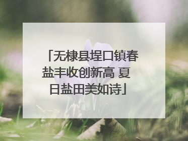 无棣县埕口镇春盐丰收创新高 夏日盐田美如诗