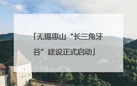无锡惠山“长三角牙谷”建设正式启动