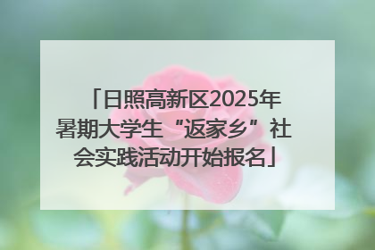 日照高新区2025年暑期大学生“返家乡”社会实践活动开始报名