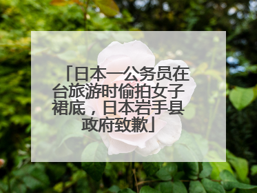 日本一公务员在台旅游时偷拍女子裙底，日本岩手县政府致歉