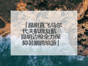 昆明直飞马尔代夫航线复航 昆明边检全力保障暑期跨境游
