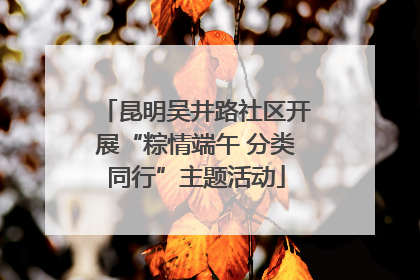 昆明吴井路社区开展“粽情端午 分类同行”主题活动