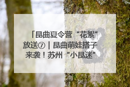 昆曲夏令营“花絮”放送⑦｜昆曲萌娃搭子来袭！苏州“小昆迷”姐弟期待同台演绎“姑苏水磨调”