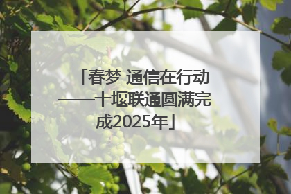 春梦 通信在行动——十堰联通圆满完成2025年