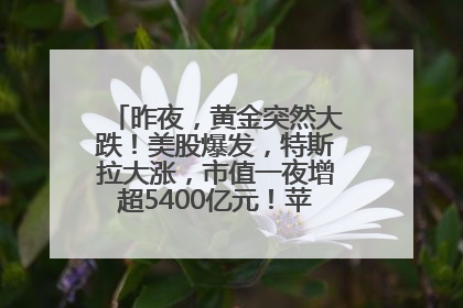 昨夜，黄金突然大跌！美股爆发，特斯拉大涨，市值一夜增超5400亿元！苹果传来大消息