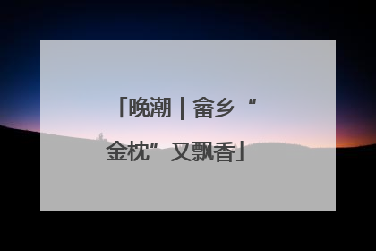 晚潮｜畲乡“金枕”又飘香