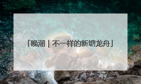 晚潮｜不一样的新塘龙舟