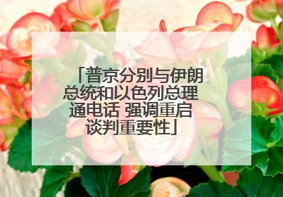 普京分别与伊朗总统和以色列总理通电话 强调重启谈判重要性
