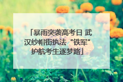 暴雨突袭高考日 武汉纱帽街执法“铁军”护航考生逐梦路