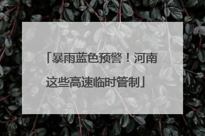 暴雨蓝色预警！河南这些高速临时管制