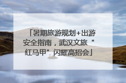 暑期旅游规划+出游安全指南，武汉文旅“红马甲”闪耀高招会