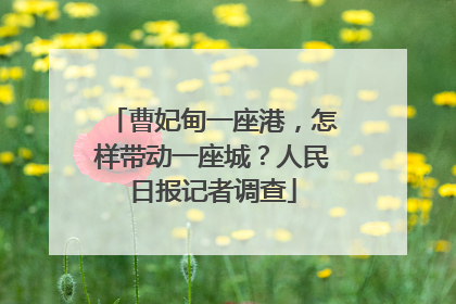 曹妃甸一座港，怎样带动一座城？人民日报记者调查