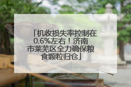 机收损失率控制在0.6%左右！济南市莱芜区全力确保粮食颗粒归仓