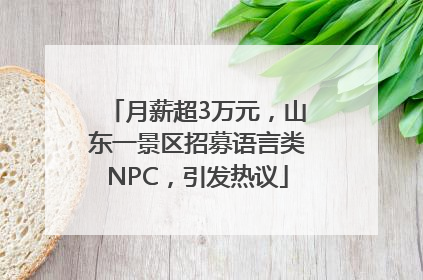月薪超3万元，山东一景区招募语言类NPC，引发热议
