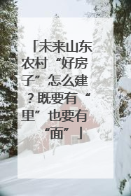 未来山东农村“好房子”怎么建？既要有“里”也要有“面”