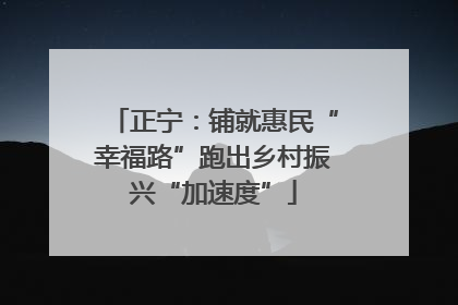 正宁：铺就惠民“幸福路”跑出乡村振兴“加速度”