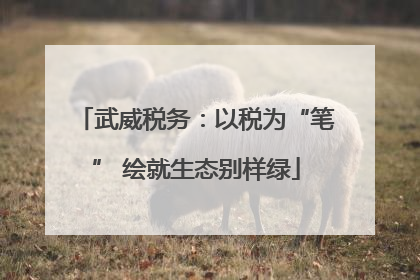 武威税务：以税为“笔” 绘就生态别样绿