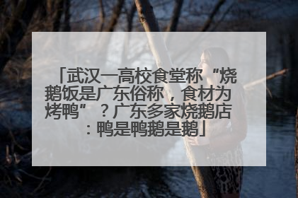 武汉一高校食堂称“烧鹅饭是广东俗称，食材为烤鸭”？广东多家烧鹅店：鸭是鸭鹅是鹅