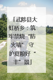 武陟县大虹桥乡：筑牢禁烧“防火墙” 守护夏粮好“丰”景