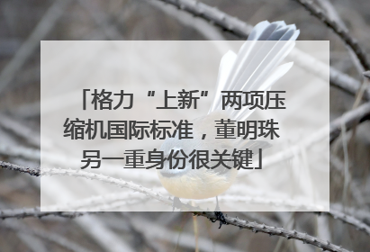 格力“上新”两项压缩机国际标准，董明珠另一重身份很关键