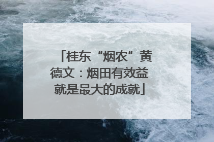 桂东“烟农”黄德文：烟田有效益就是最大的成就