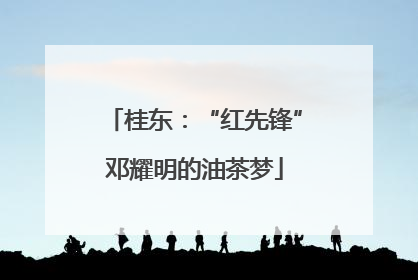 桂东：“红先锋”邓耀明的油茶梦