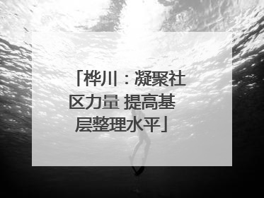 桦川：凝聚社区力量 提高基层整理水平