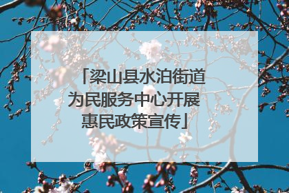 梁山县水泊街道为民服务中心开展惠民政策宣传